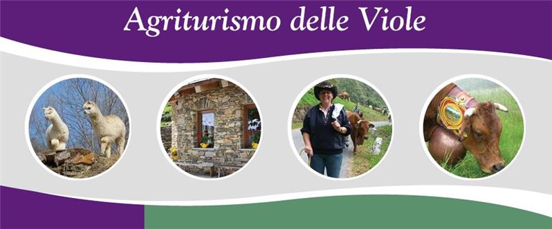 Agriturismo delle Viole