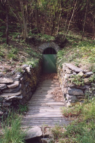 Inverso Pinasca