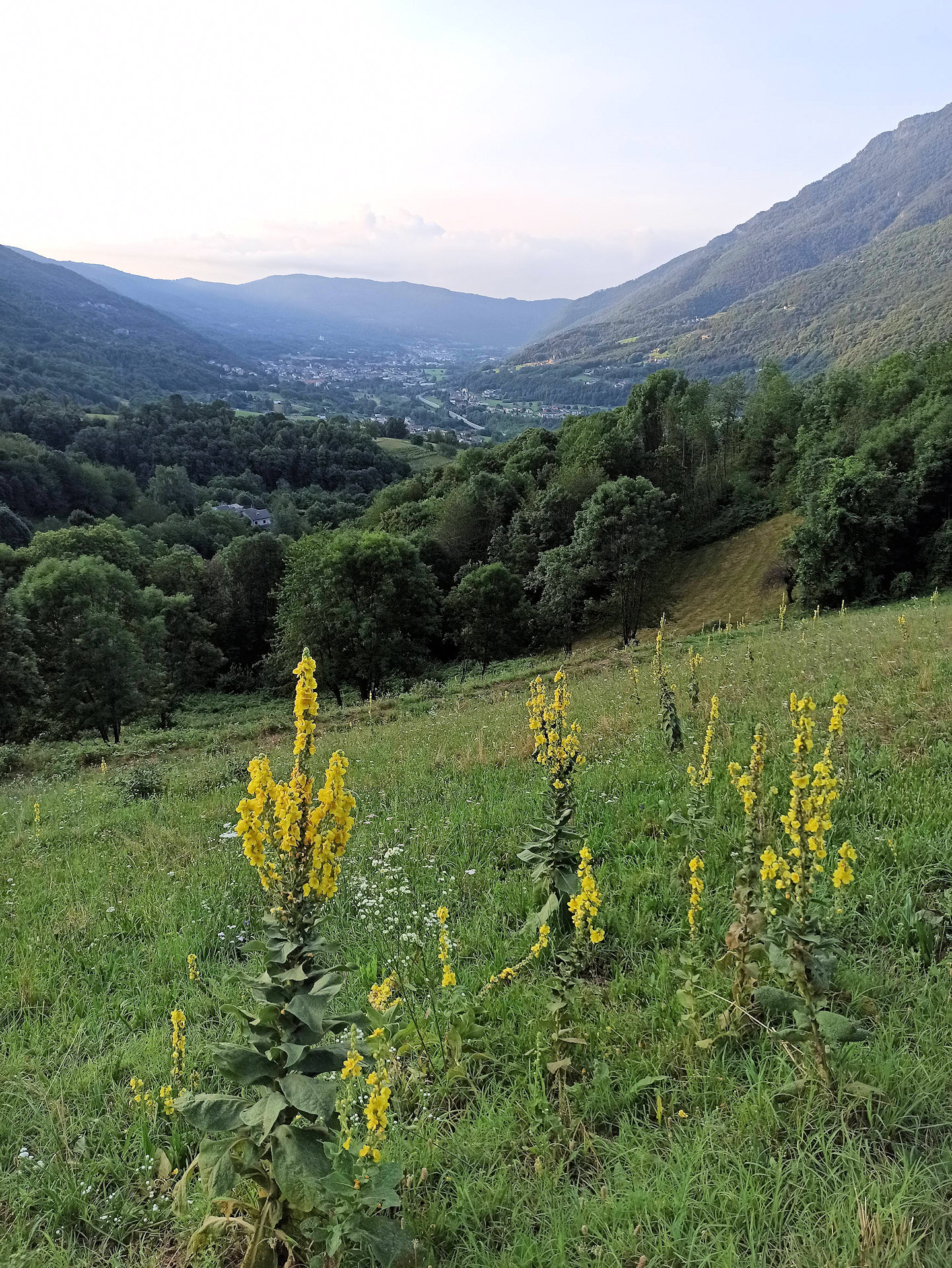 punto panoramico