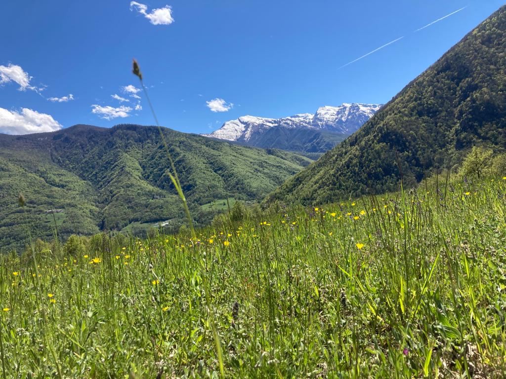 punto panoramico