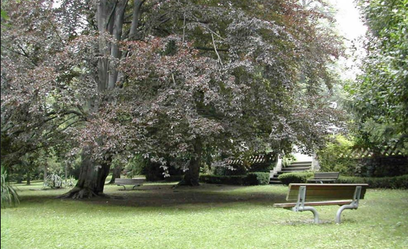 Anello Percorso botanico Parco E. Gay